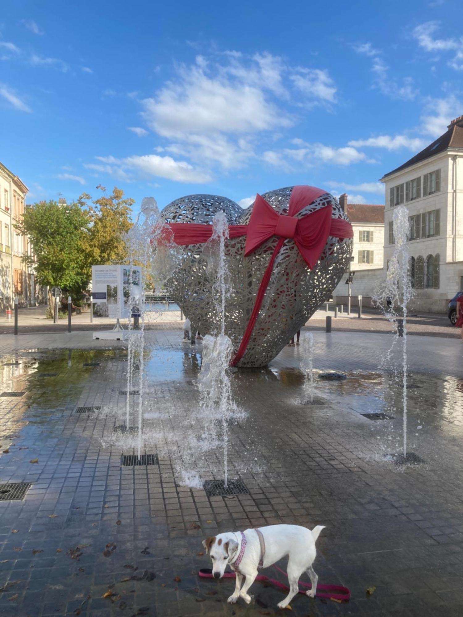 Apartmán Papillons De Nuit Champagne Troyes Exteriér fotografie
